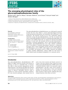 The emerging physiological roles of the glycerophosphodiesterase