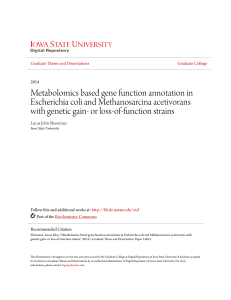 Metabolomics based gene function annotation in Escherichia coli