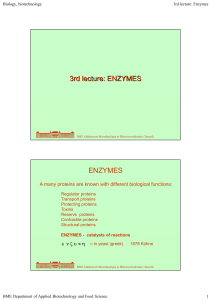 Enzymes-1 C2