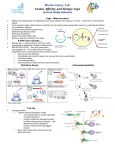 Fusion, Affinity and Epitope Tags Lecture Notes Handout