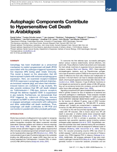 Autophagic Components Contribute to Hypersensitive Cell Death in