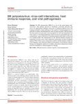 BK polyomavirus: virus-cell interactions, host immune response, and