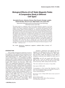Biological effects of 6 mT static magnetic fields: A comparative study