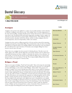 Dental Materials Brochure