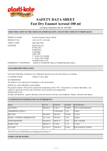 SAFETY DATA SHEET Fast Dry Enamel Aerosol 100 ml