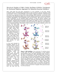 Structural Studies of Nitric Oxide Synthase Inhibitor Complexes: An