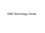 DNA Technology Vocab.