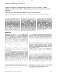 Immune complexes formed following the binding of