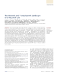 The Genomic and Transcriptomic Landscape of a HeLa Cell Line