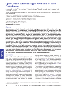 Article Opsin Clines in Butterflies Suggest Novel Roles for Insect