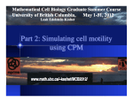 Part 2: Simulating cell motility using CPM