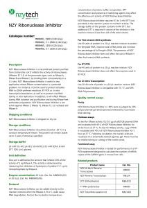 NZY Ribonuclease Inhibitor