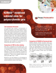 KUMASI™ stabilized colloidal stain for polyacrylamide gels