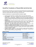 GeneXPlus Transfection of Plasmid DNA into BJ-5ta Cells