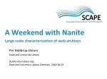 Nanite - OPF Labs