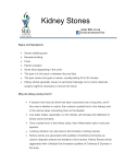 Kidney Stones www.tibb.co.za IbnSinaInstituteofTibb Signs and
