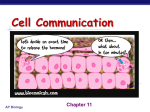 Cell_Communication_Lecture_2016