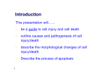 2 cell injury and cell death - Progetto e
