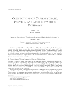 Connections of Carbohydrate, Protein, and Lipid