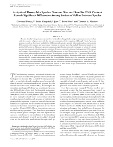 Analysis of Drosophila Species Genome Size and Satellite DNA