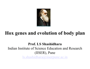 Hox genes and evolution of body plan Prof. LS Shashidhara