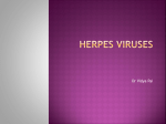 Herpes viruses