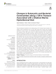 Changes in Eukaryotic and Bacterial Communities along