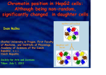 Chromatin Position in Human Cells