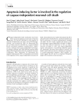 Apoptosis-inducing factor is involved in the regulation of caspase