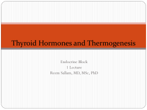 L2-Biochemistry of the thyroid hormones and
