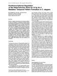 Posttranscriptional Regulation of the Heterochronic Gene lin