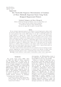 The Nucleotide Sequence Determination of Catalases of Three