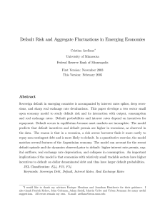 Default Risk and Aggregate Fluctuations in Emerging Economies