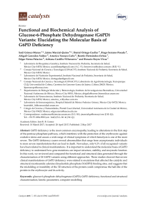 Functional and Biochemical Analysis of Glucose-6
