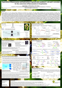 Expression of Hyoscyamine-6β-Hydroxylase in