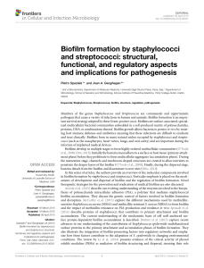 Biofilm formation by staphylococci and streptococci