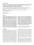 Distinct and collaborative roles of Drosophila EXT family proteins in