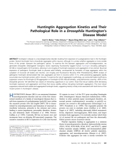 Huntingtin Aggregation Kinetics and Their Pathological