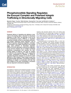 Phosphoinositide Signaling Regulates the Exocyst Complex and