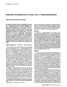 Hydrolysisof Glutathioneby Human Liver `y