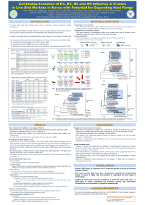 Continuing Evolution of H3, H4, H6 and H9 Influenza A Viruses in