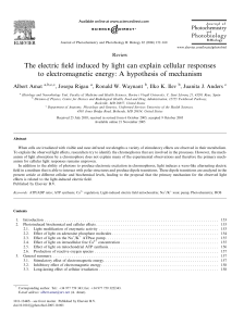 The electric field induced by light can explain cellular responses to
