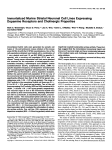 Immortalized Murine Striatal Neuronal Cell Lines Expressing