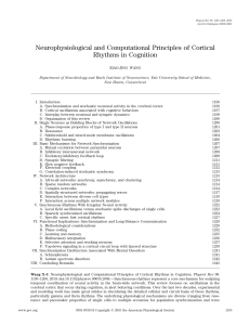 Neurophysiological and Computational Principles of Cortical