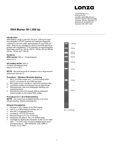 DNA Marker 50