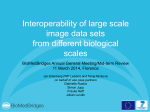 Interoperability of large scale image data sets from different