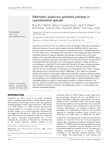 Alternative isoleucine synthesis pathway in