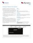 VeriScript™ Reverse Transcriptase