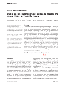 Ursolic acid and mechanisms of actions on adipose and muscle tissue
