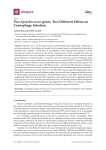 Two Synechococcus genes, Two Different Effects on